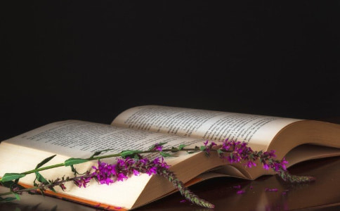 浙江成人大專自考本科再考研可以嗎?