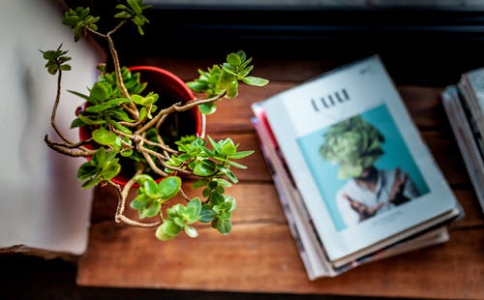 怎么更換自考準(zhǔn)考證上的照片?